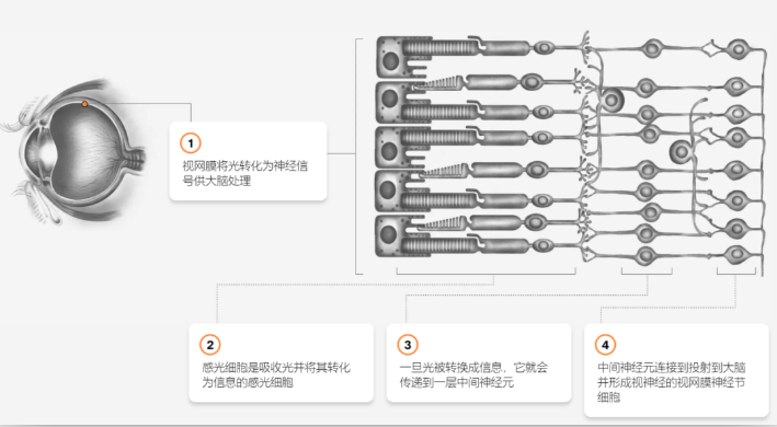 微信截图_20230322094429.png